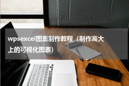 wpsexcel图表制作教程（制作高大上的可视化图表）