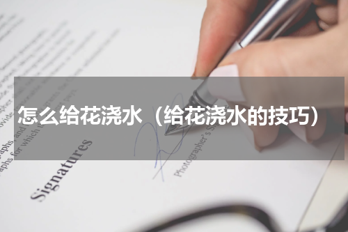 怎么给花浇水（给花浇水的技巧）
