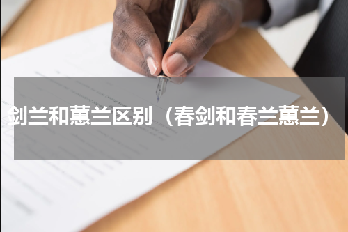 剑兰和蕙兰区别（春剑和春兰蕙兰）