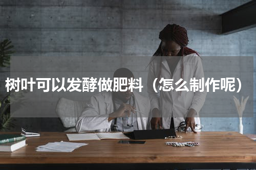 树叶可以发酵做肥料（怎么制作呢）