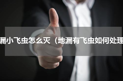 地漏小飞虫怎么灭（地漏有飞虫如何处理）