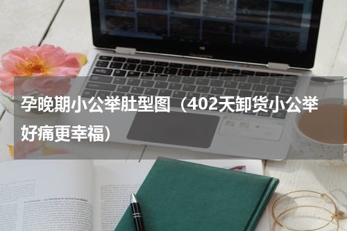 孕晚期小公举肚型图（402天卸货小公举好痛更幸福）