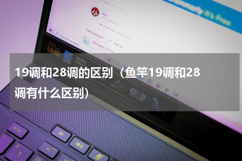 19调和28调的区别（鱼竿19调和28调有什么区别）
