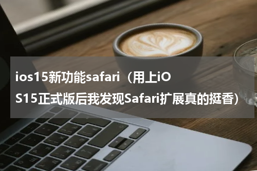 ios15新功能safari（用上iOS15正式版后我发现Safari扩展真的挺香）