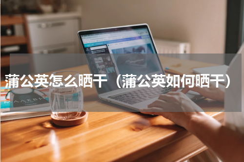 蒲公英怎么晒干（蒲公英如何晒干）