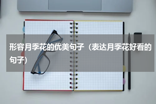 形容月季花的优美句子（表达月季花好看的句子）