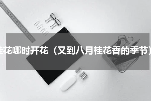 桂花哪时开花（又到八月桂花香的季节）