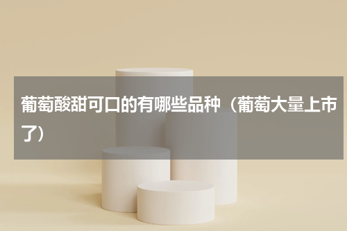 葡萄酸甜可口的有哪些品种（葡萄大量上市了）