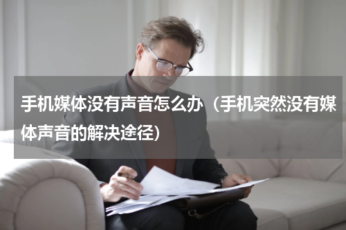 手机媒体没有声音怎么办（手机突然没有媒体声音的解决途径）