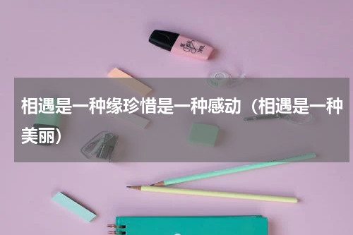 相遇是一种缘珍惜是一种感动（相遇是一种美丽）