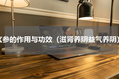 玄参的作用与功效（滋肾养阴益气养阴）