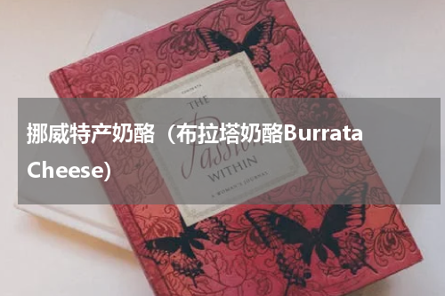 挪威特产奶酪（布拉塔奶酪BurrataCheese）