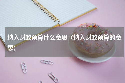 纳入财政预算什么意思（纳入财政预算的意思）