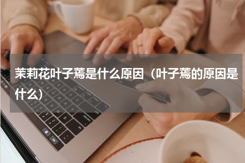 茉莉花叶子蔫是什么原因（叶子蔫的原因是什么）