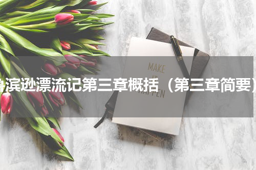 鲁滨逊漂流记第三章概括（第三章简要）