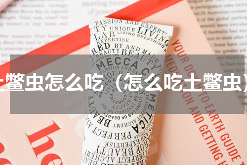 土鳖虫怎么吃（怎么吃土鳖虫）