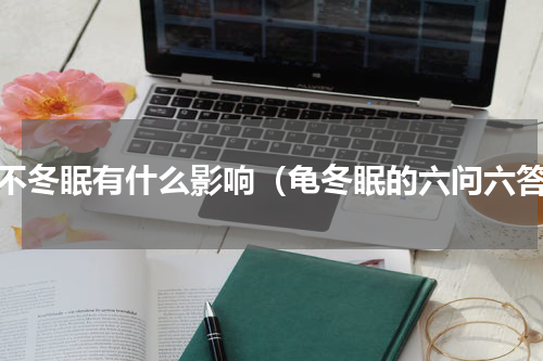 龟不冬眠有什么影响（龟冬眠的六问六答）
