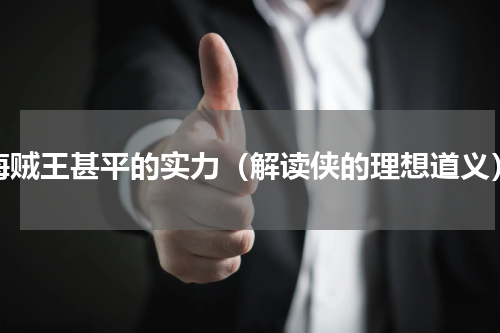 海贼王甚平的实力（解读侠的理想道义）