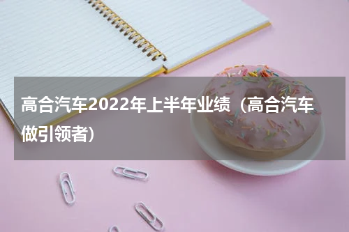 高合汽车2022年上半年业绩（高合汽车做引领者）
