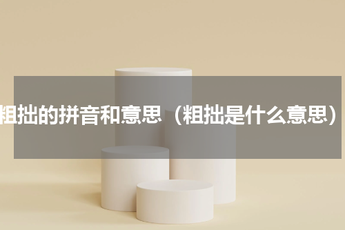 粗拙的拼音和意思（粗拙是什么意思）