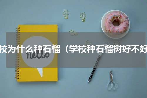 学校为什么种石榴（学校种石榴树好不好）