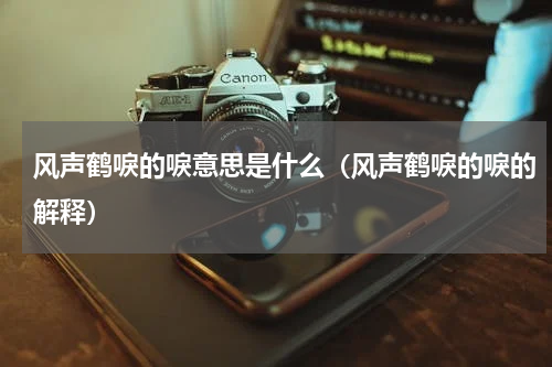 风声鹤唳的唳意思是什么（风声鹤唳的唳的解释）