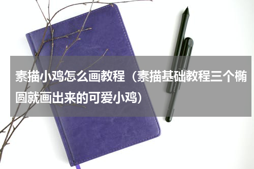 素描小鸡怎么画教程（素描基础教程三个椭圆就画出来的可爱小鸡）