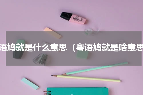 粤语鸠就是什么意思（粤语鸠就是啥意思）