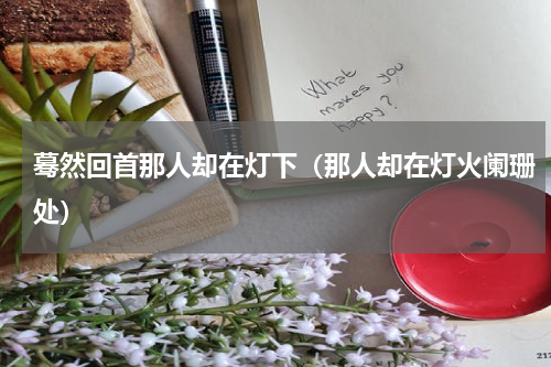 蓦然回首那人却在灯下（那人却在灯火阑珊处）