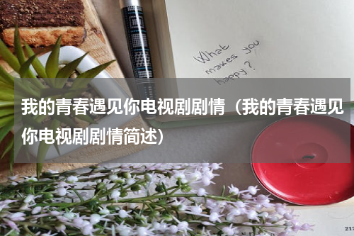 我的青春遇见你电视剧剧情（我的青春遇见你电视剧剧情简述）