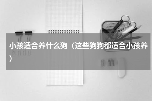 小孩适合养什么狗（这些狗狗都适合小孩养）
