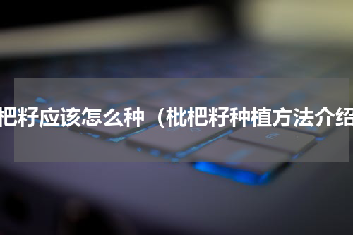 枇杷籽应该怎么种（枇杷籽种植方法介绍）