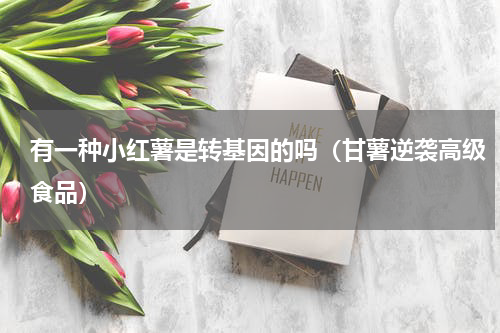 有一种小红薯是转基因的吗（甘薯逆袭高级食品）