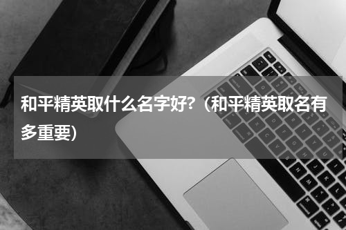 和平精英取什么名字好?（和平精英取名有多重要）
