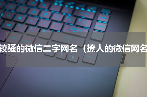 比较骚的微信二字网名（撩人的微信网名）