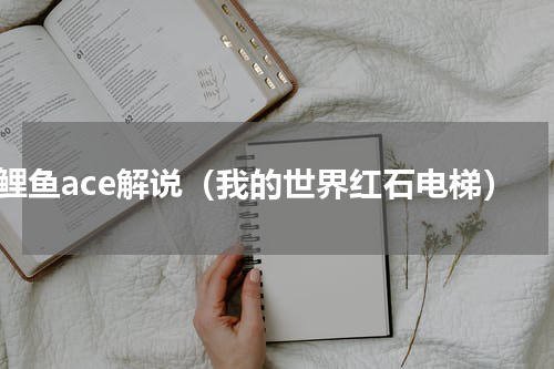 鲤鱼ace解说（我的世界红石电梯）