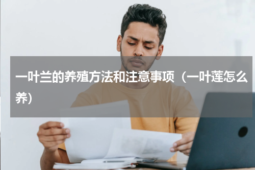 一叶兰的养殖方法和注意事项（一叶莲怎么养）