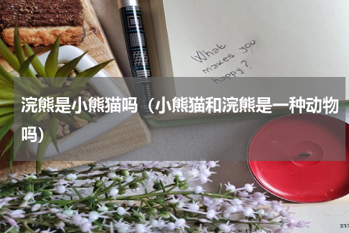 浣熊是小熊猫吗（小熊猫和浣熊是一种动物吗）