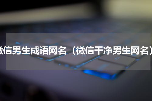 微信男生成语网名（微信干净男生网名）