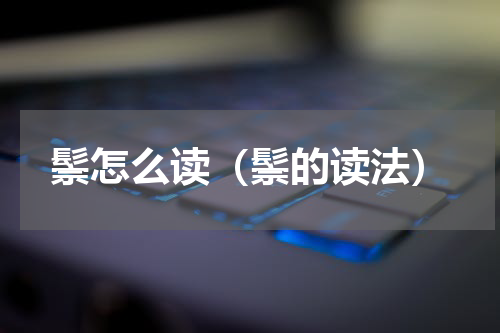 鬃怎么读（鬃的读法）