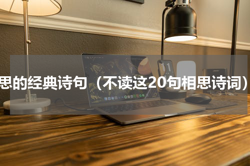 相思的经典诗句（不读这20句相思诗词）