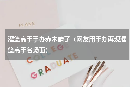 灌篮高手手办赤木晴子（网友用手办再现灌篮高手名场面）
