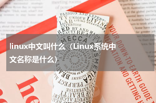 linux中文叫什么（Linux系统中文名称是什么）