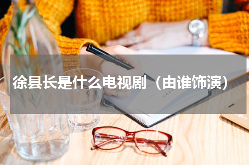 徐县长是什么电视剧（由谁饰演）