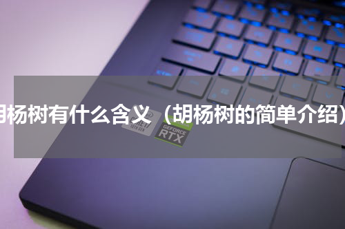 胡杨树有什么含义（胡杨树的简单介绍）