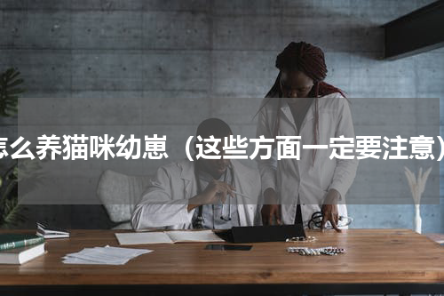 怎么养猫咪幼崽（这些方面一定要注意）