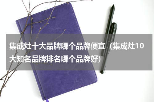 集成灶十大品牌哪个品牌便宜（集成灶10大知名品牌排名哪个品牌好）