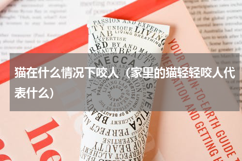 猫在什么情况下咬人（家里的猫轻轻咬人代表什么）