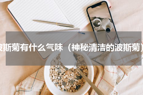 波斯菊有什么气味（神秘清洁的波斯菊）