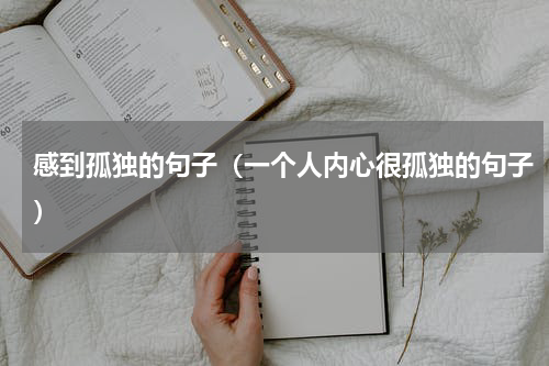 感到孤独的句子（一个人内心很孤独的句子）